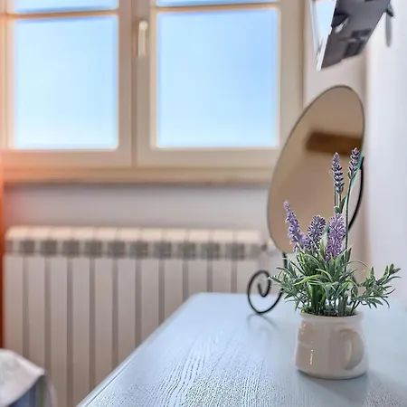 Loverka Prázdninový dům Pula